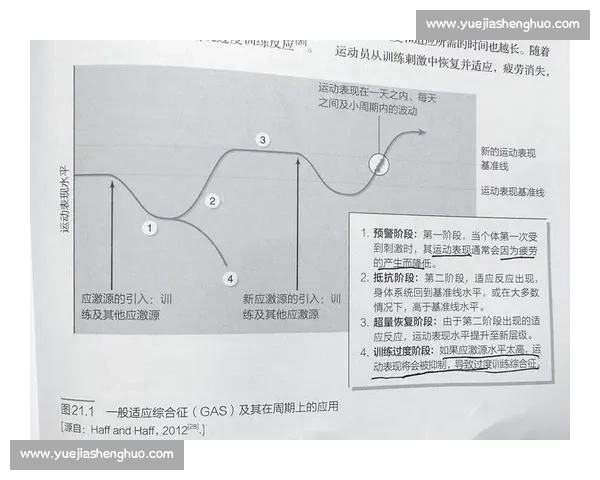 基于运动表现提升与疲劳恢复协同机制的体育训练周期优化研究