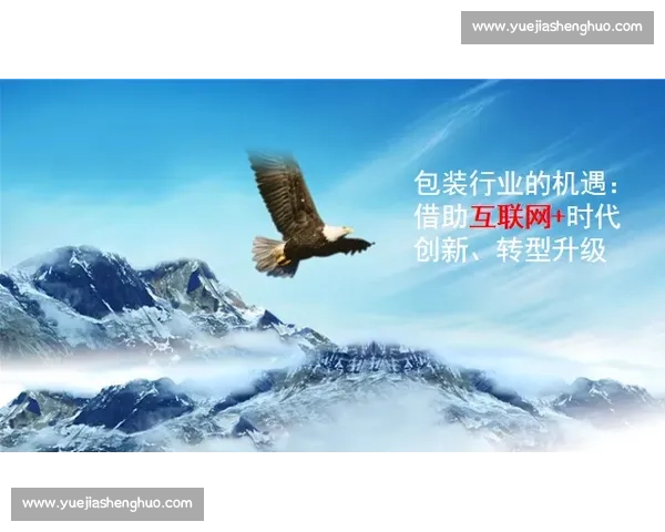 提升体育组织运营效率的策略与管理创新研究探索