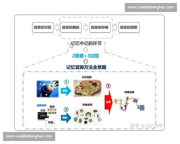 突破极限与团队精神并重的现代竞技体育全景解析 突破极限与团队精神并重的现代竞技体育全景解析